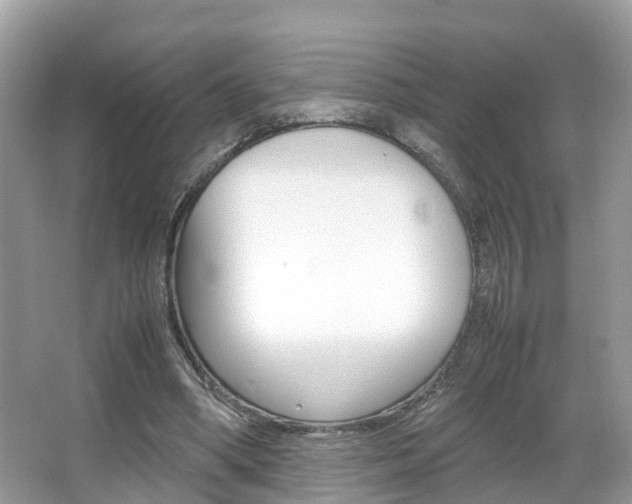X0000067380394200603311026