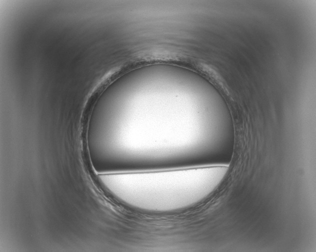X0000067380395200603311026