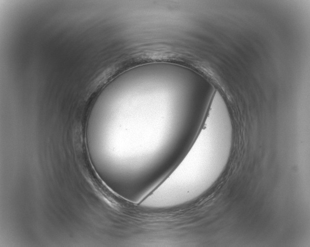 X0000067380397200603311026