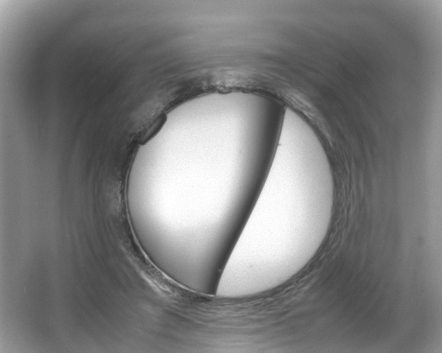 X0000067380401200603311025