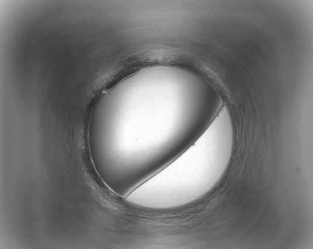 X0000067380403200603311025