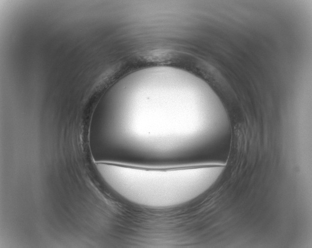 X0000067380404200603311025