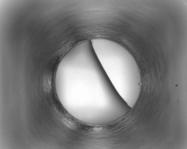 X0000067380406200603311025