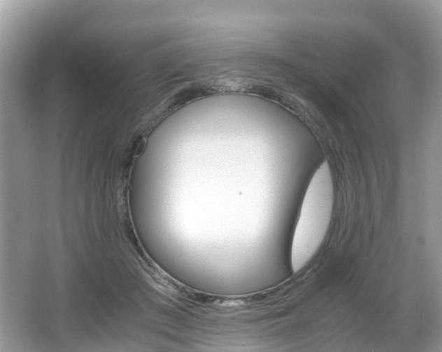 X0000067380409200603311025