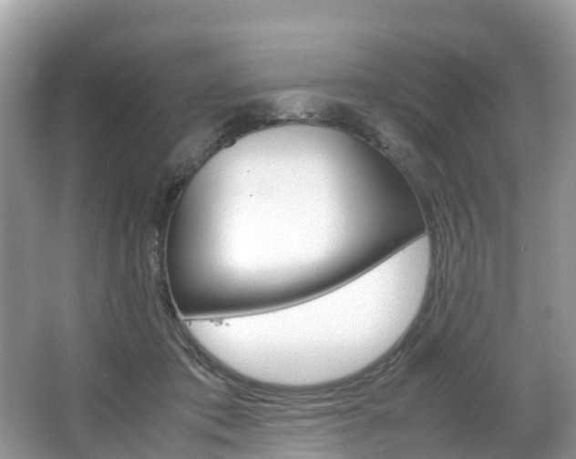 X0000067380413200603311025
