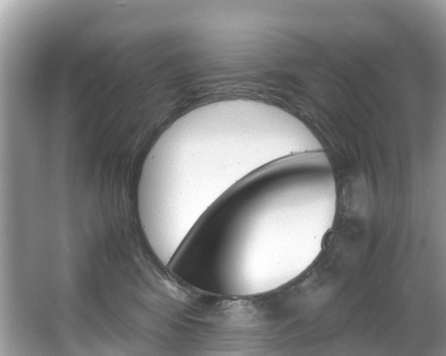 X0000067380424200603311025