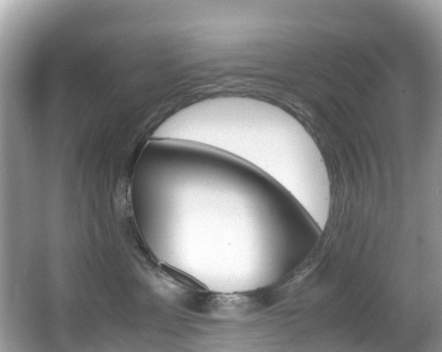 X0000067380429200603311025