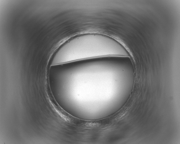 X0000067380437200603311024