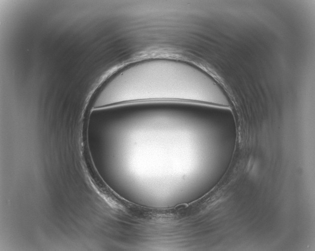 X0000067380438200603311024