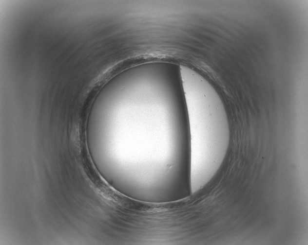 X0000067380444200603311024