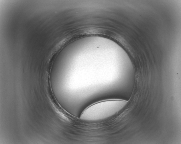 X0000067380445200603311024