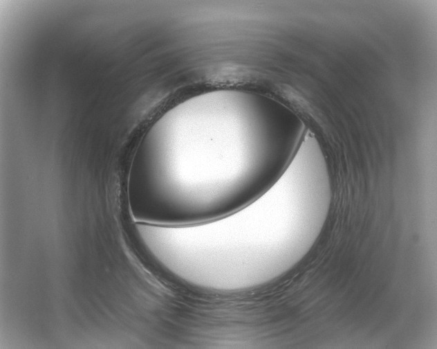 X0000067380448200603311024