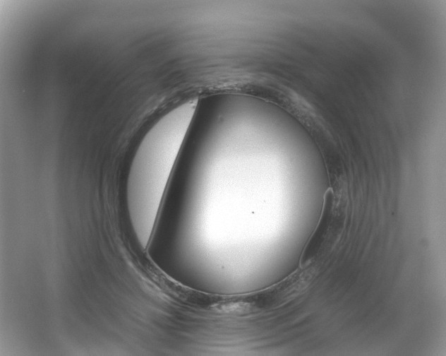 X0000067380452200603311024