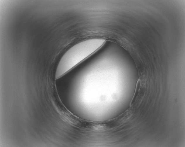 X0000067380456200603311025