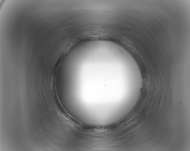 X0000067380458200603311025