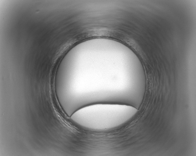X0000067380482200603311024
