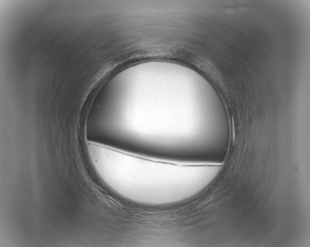 X0000067380483200603311024
