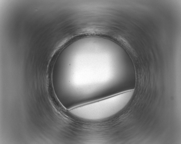 X0000067380488200603311024