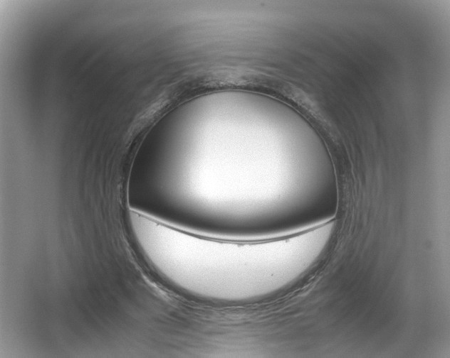 X0000067380489200603311024