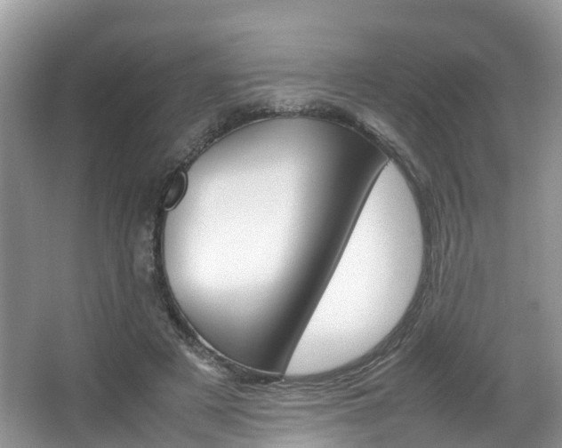 X0000067380497200603311024