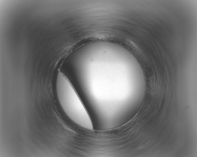 X0000067380500200603311024