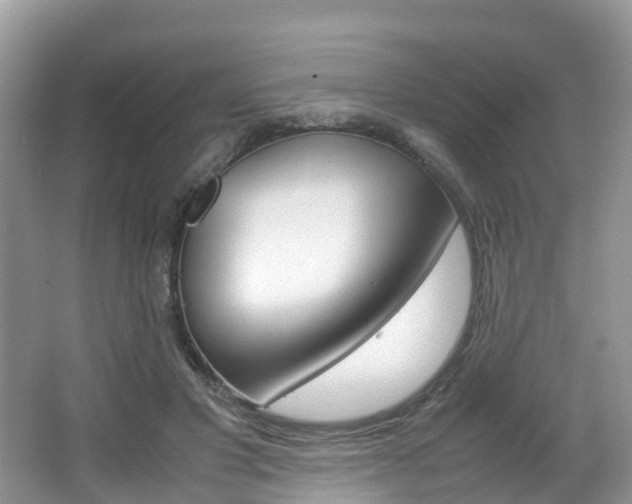 X0000067380501200603311024