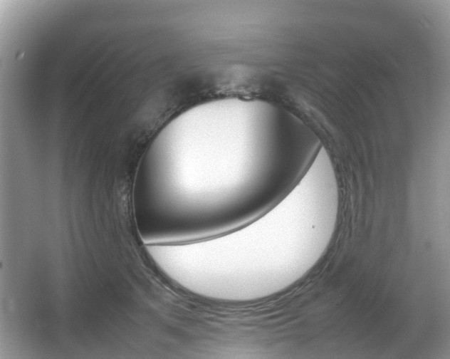 X0000067380513200603311024