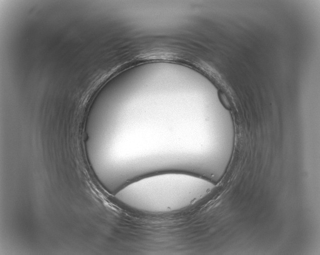 X0000067380529200603311023