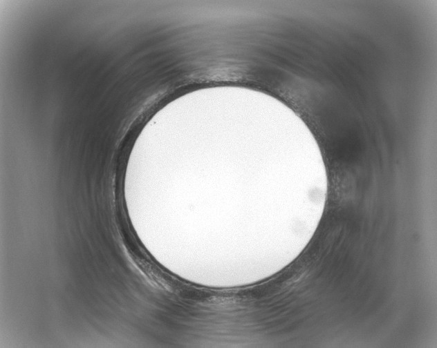 X0000067380534200603311023