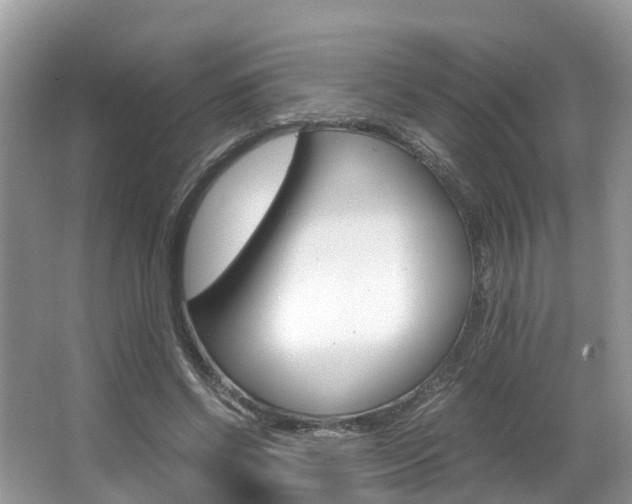 X0000067380542200603311023