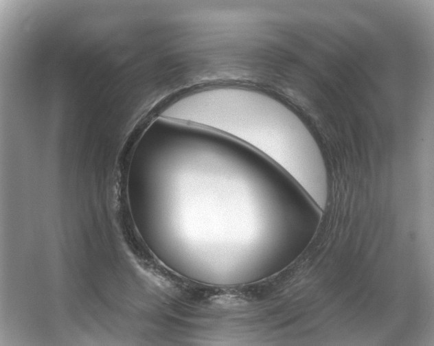 X0000067380544200603311023