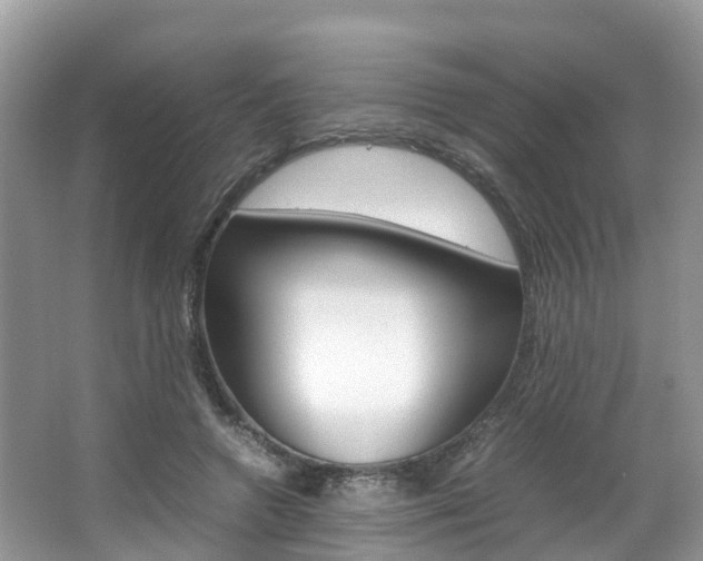 X0000067380546200603311023