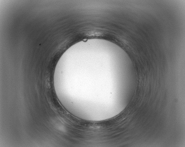 X0000067380547200603311023