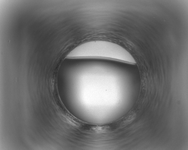 X0000067380558200603311023