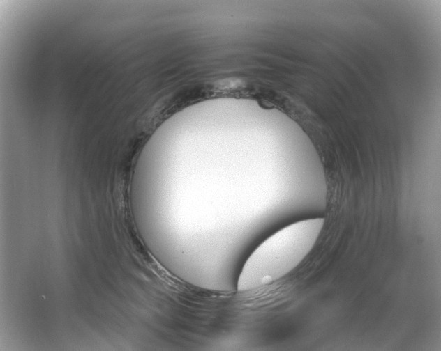 X0000067380565200603311023