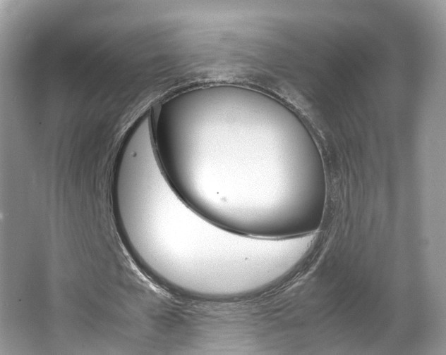X0000067380577200603311023