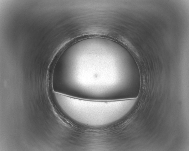 X0000067380580200603311022