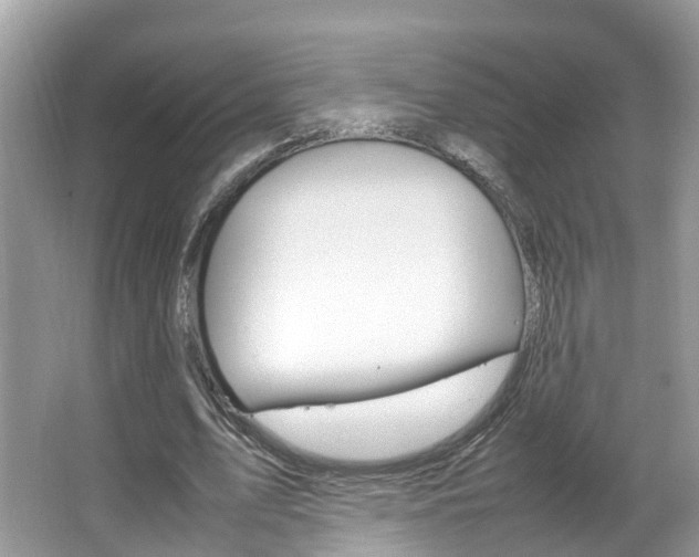 X0000067380583200603311022