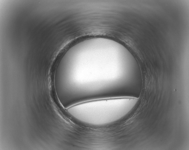 X0000067380584200603311022