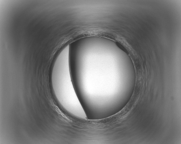 X0000067380585200603311022