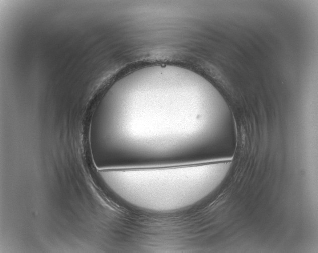 X0000067380588200603311022