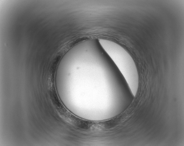 X0000067380599200603311022