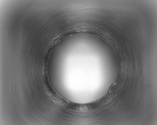 X0000067380600200603311022