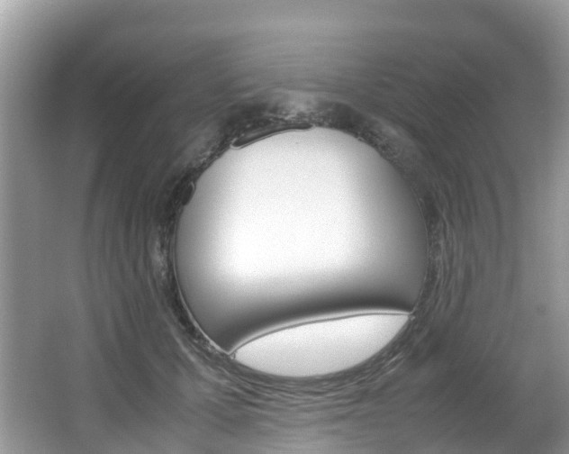 X0000067380607200603311022