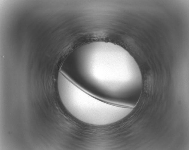 X0000067380608200603311022