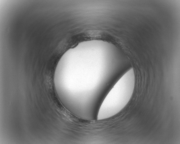 X0000067380609200603311022