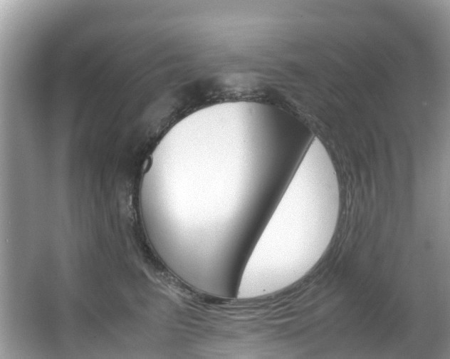 X0000067380615200603311022