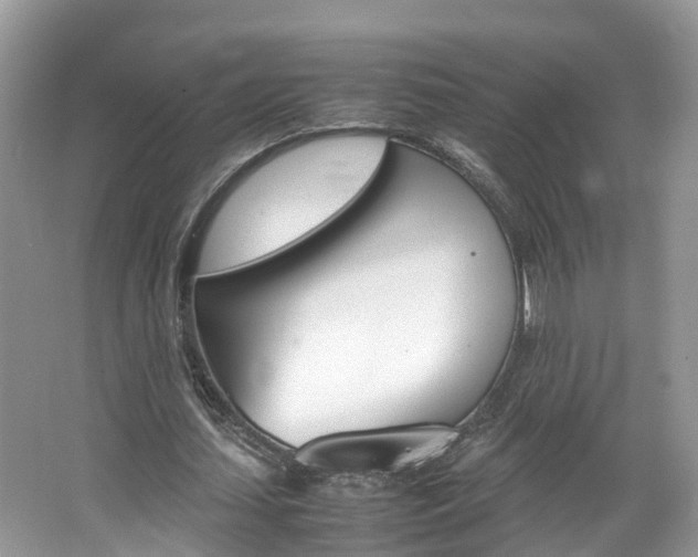 X0000067380627200603311021