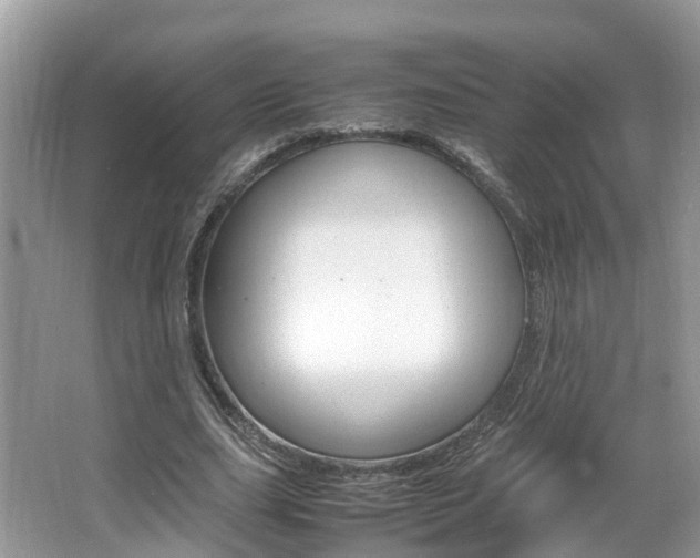 X0000067380631200603311021