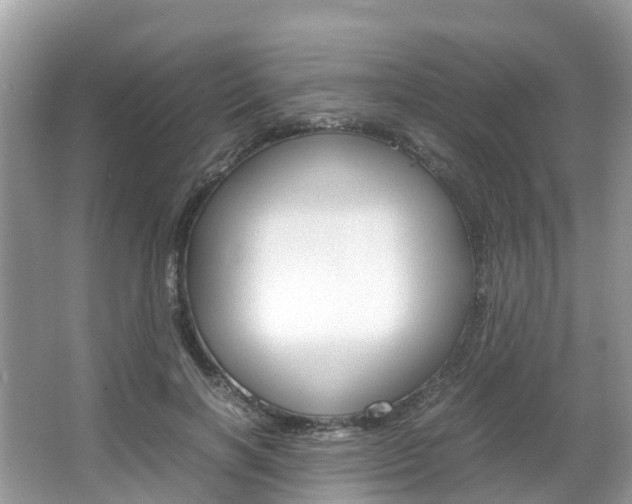 X0000067380646200603311021